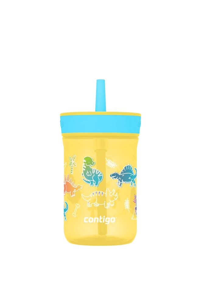 Kids’ Leighton Straw Tumbler with Spill-Proof Leak-Proof Lid, 14oz K4